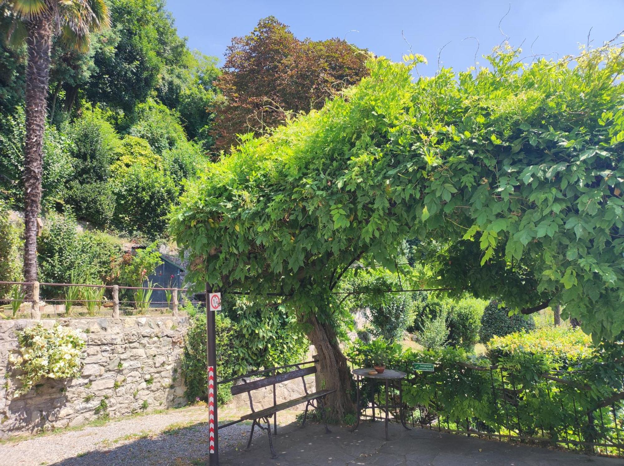 Villa Antonella, App. Vittoria Tavernerio Exterior foto